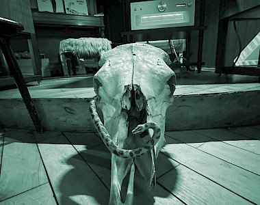 Klangverkostung: "Animalisch"
